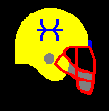 THRAK Playoff Helmet